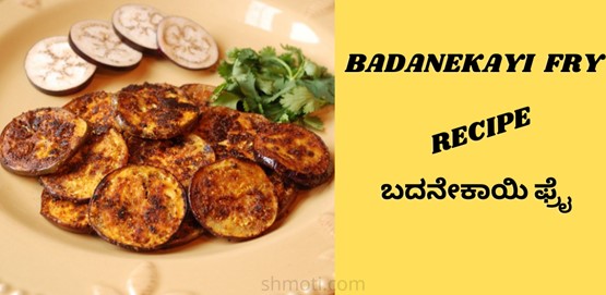 Badanekayi Fry Recipe | Brinjal Fry | Kannada
